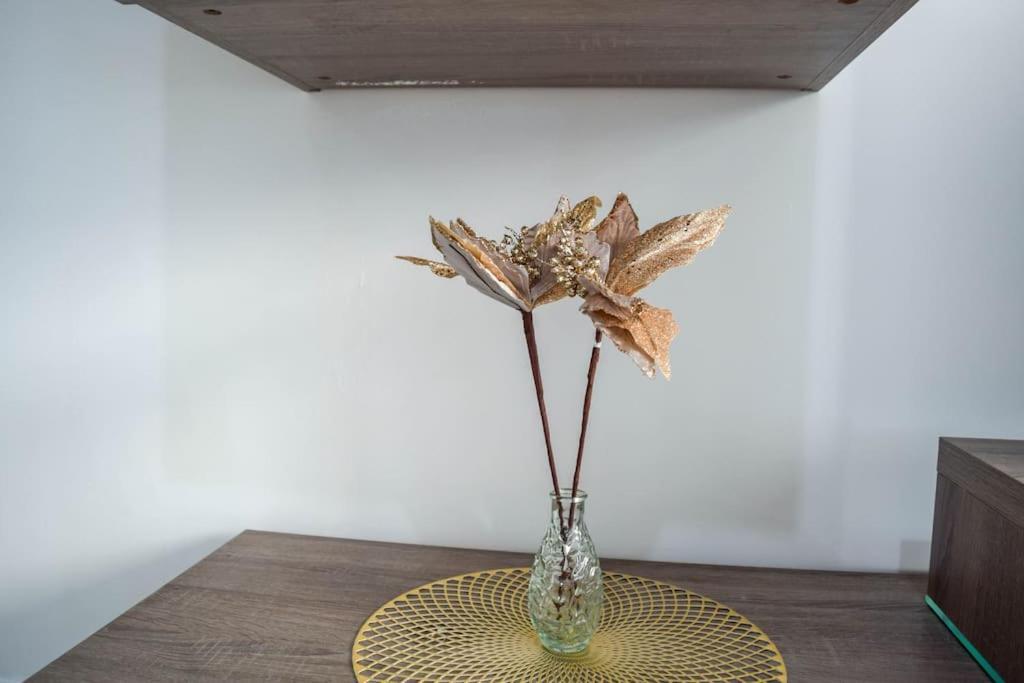 סיינט פול ביי Cozy Apartment, Close To The Sea C4 מראה חיצוני תמונה
